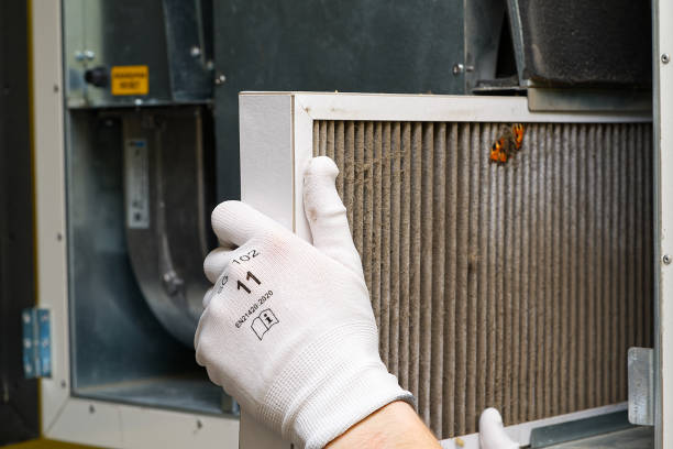 Best Professional Duct Cleaning Services  in Remerton, GA